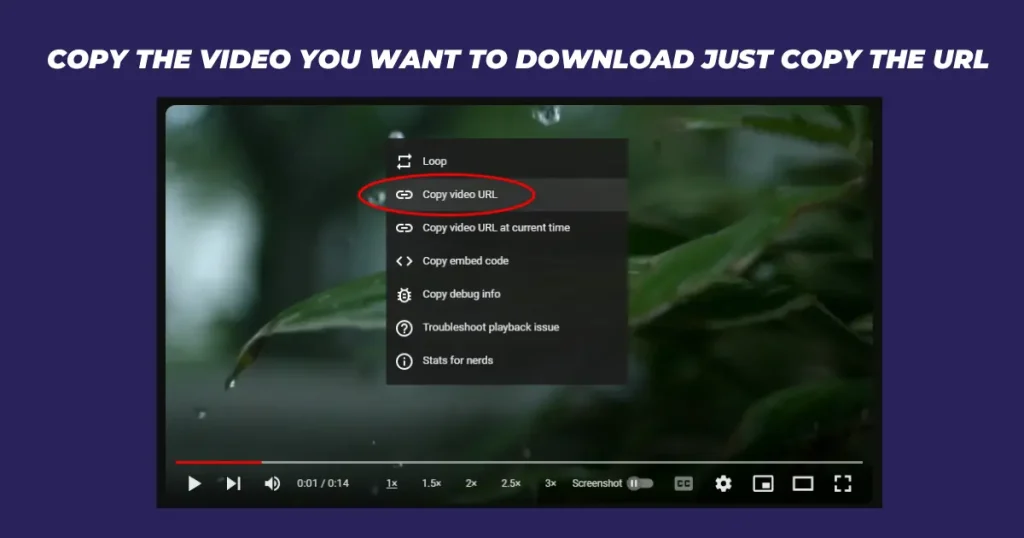  copy the Video you want to download just copy the URL