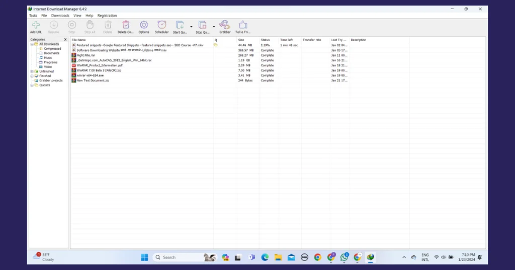 Internet-Download-Manager-6.42-Build-3-Interface-2024