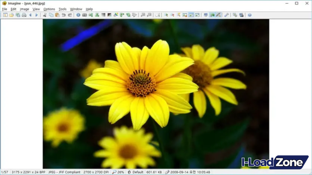 Imagine Download Free