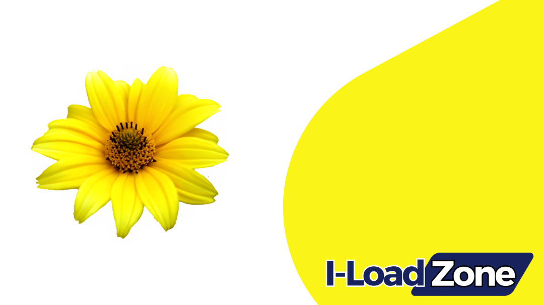 Imagine Download Latest Version