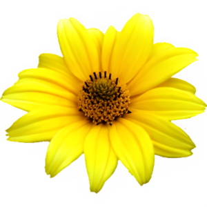 UltraISO-Premium-Edition