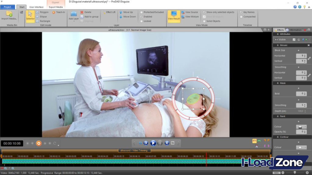 proDAD Disguise Download Free