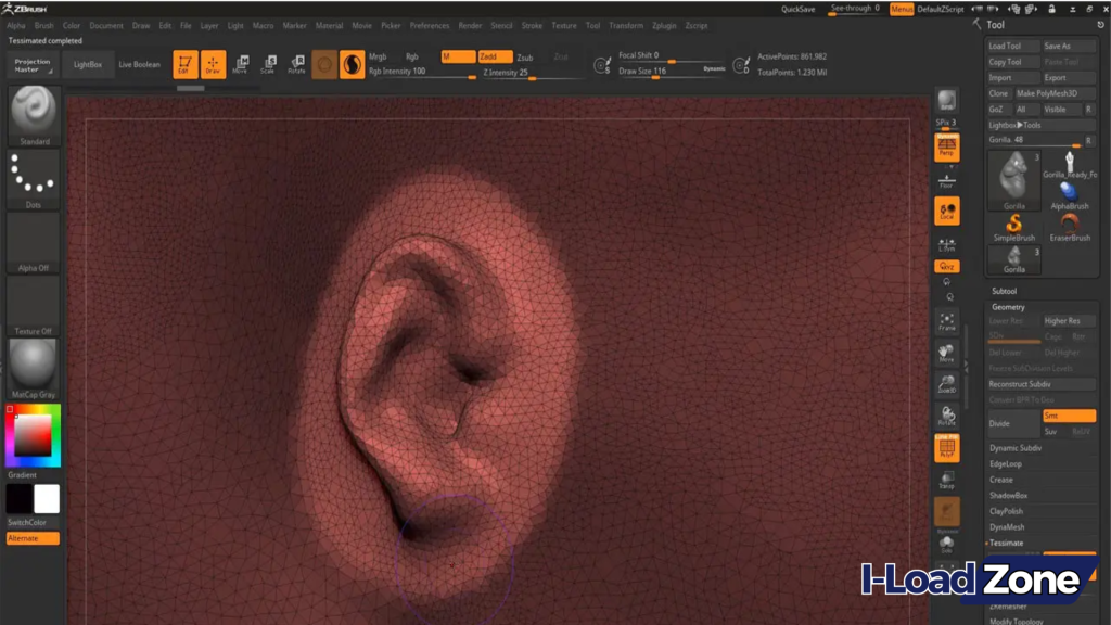 Pixologic Zbrush Download Free